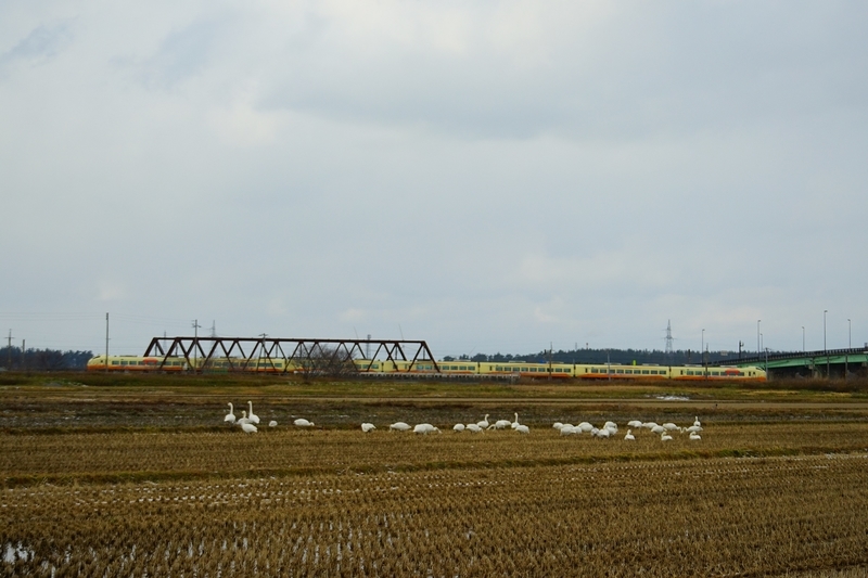 f:id:GSX-R1000:20200131113229j:plain