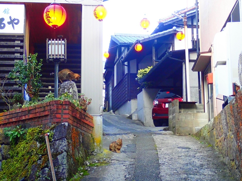 f:id:GSX-R1000:20200302174955j:plain