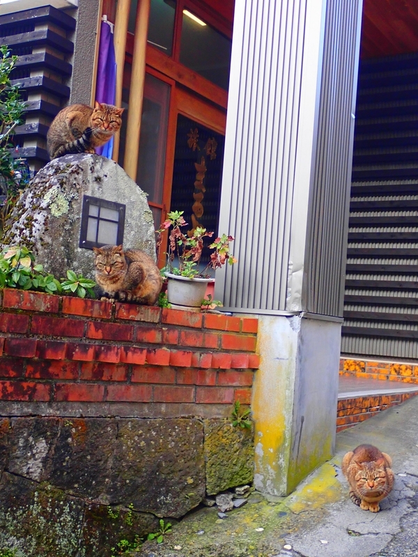 f:id:GSX-R1000:20200302175020j:plain