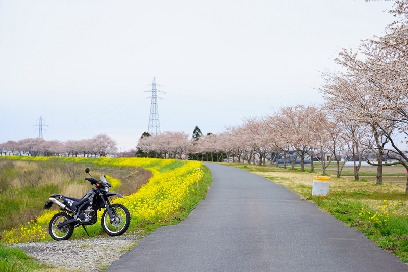 f:id:GSX-R1000:20200413204341j:plain