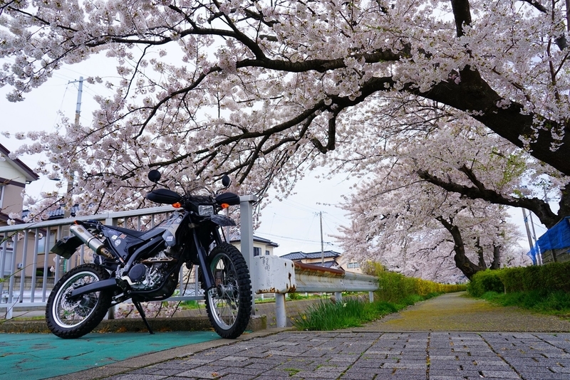 f:id:GSX-R1000:20200413204350j:plain