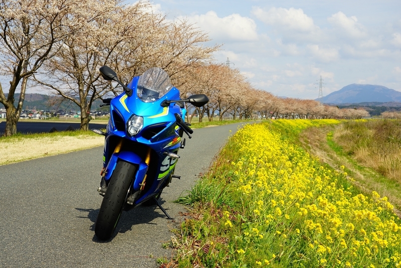 f:id:GSX-R1000:20200418141201j:plain