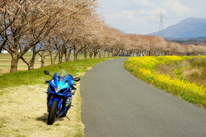 f:id:GSX-R1000:20200418141209j:plain