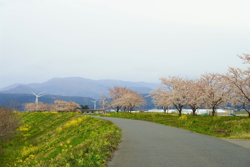 f:id:GSX-R1000:20200423205925j:plain