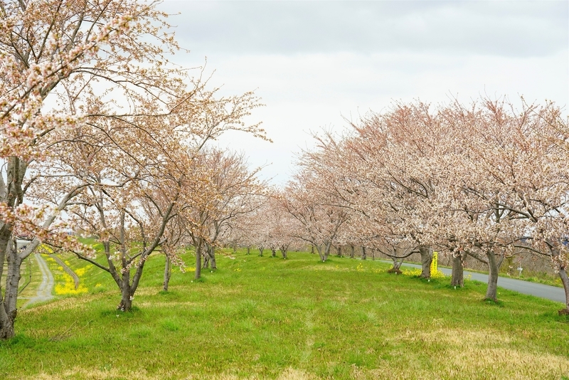 f:id:GSX-R1000:20200423210045j:plain