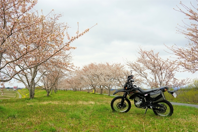 f:id:GSX-R1000:20200423210202j:plain
