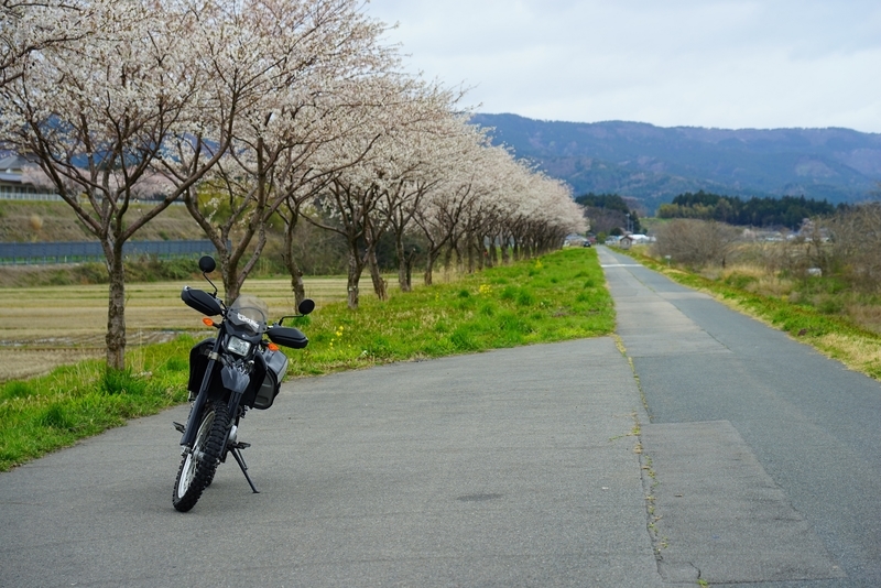 f:id:GSX-R1000:20200423210324j:plain