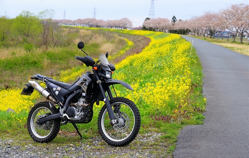 f:id:GSX-R1000:20200423210347j:plain