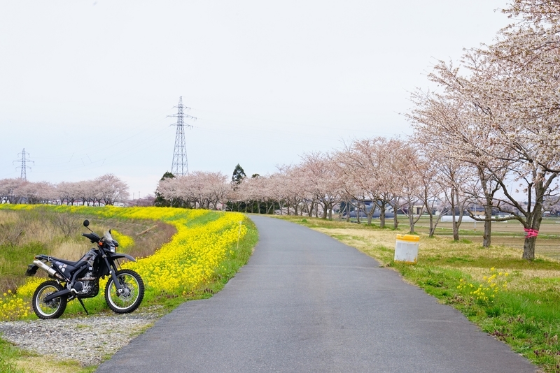 f:id:GSX-R1000:20200423210356j:plain