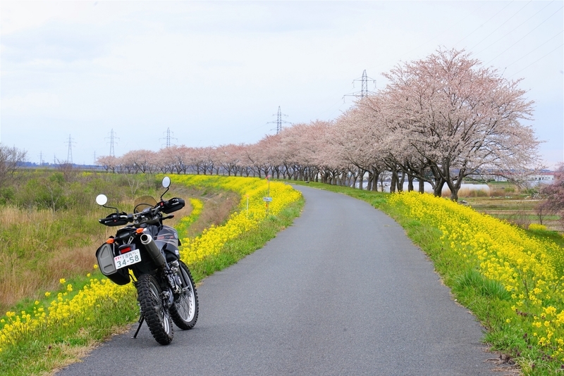 f:id:GSX-R1000:20200423210407j:plain