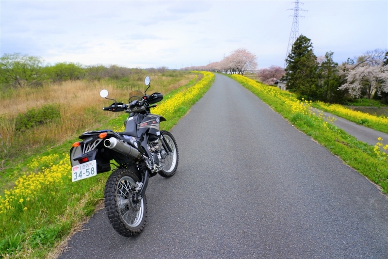 f:id:GSX-R1000:20200423210432j:plain