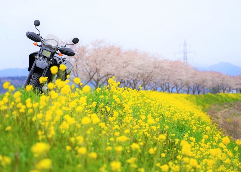 f:id:GSX-R1000:20200423210514j:plain