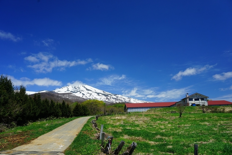 f:id:GSX-R1000:20200517214743j:plain