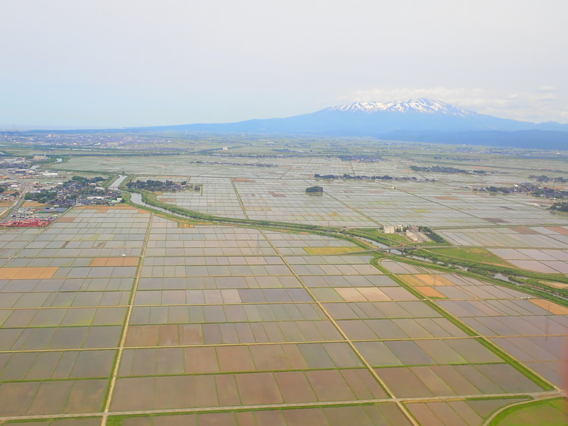 f:id:GSX-R1000:20200529211937j:plain