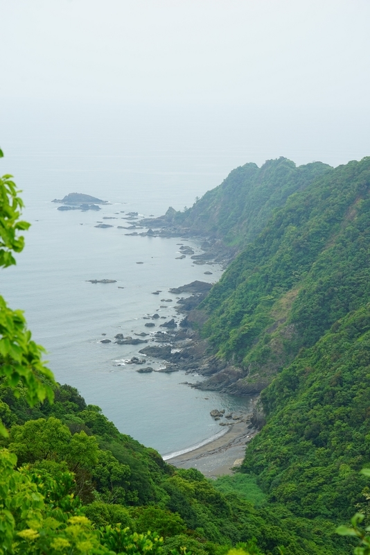 f:id:GSX-R1000:20200612211711j:plain f:id:GSX-R1000:20200612211711j:plain