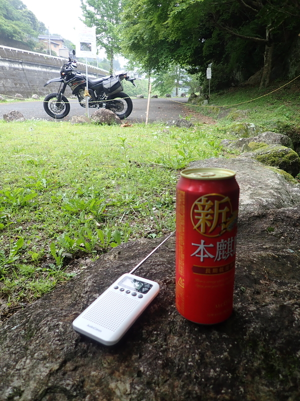 f:id:GSX-R1000:20200612212348j:plain f:id:GSX-R1000:20200612212348j:plain