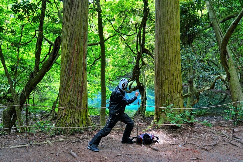 f:id:GSX-R1000:20200616084943j:plain