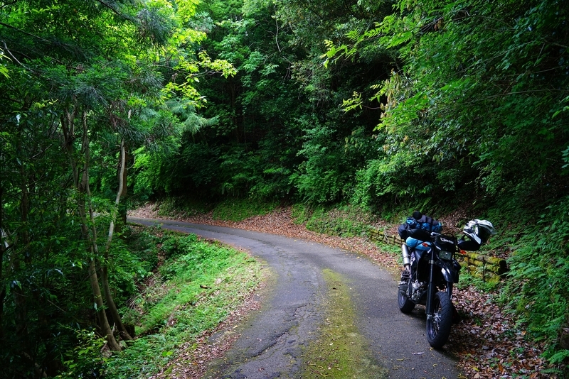 f:id:GSX-R1000:20200624213729j:plain