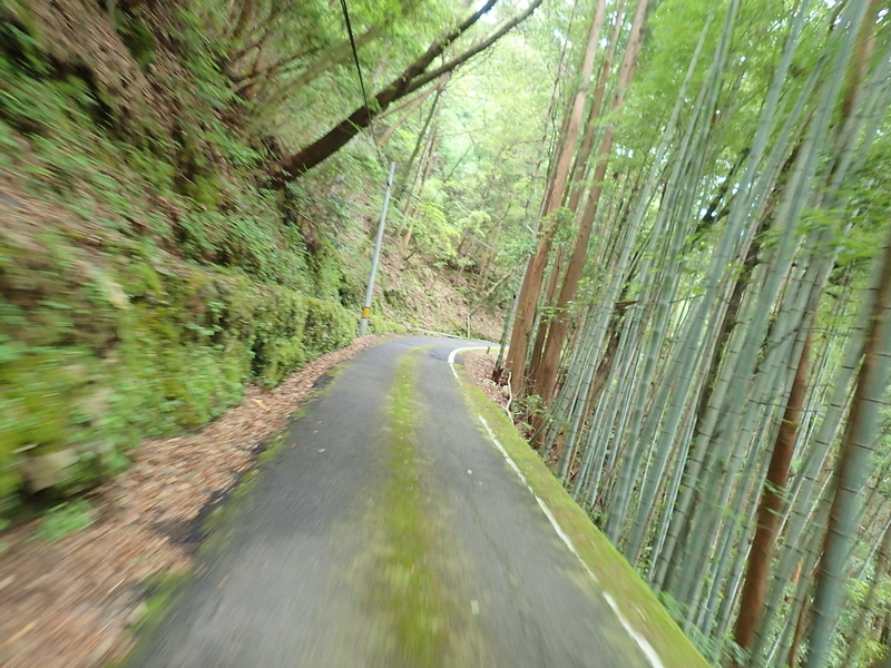 f:id:GSX-R1000:20200624215243j:plain