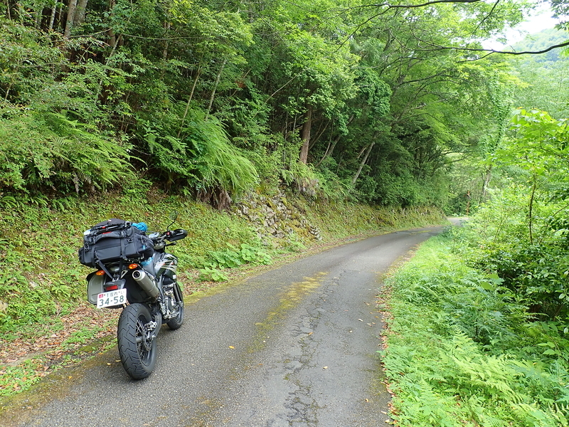 f:id:GSX-R1000:20200624215259j:plain