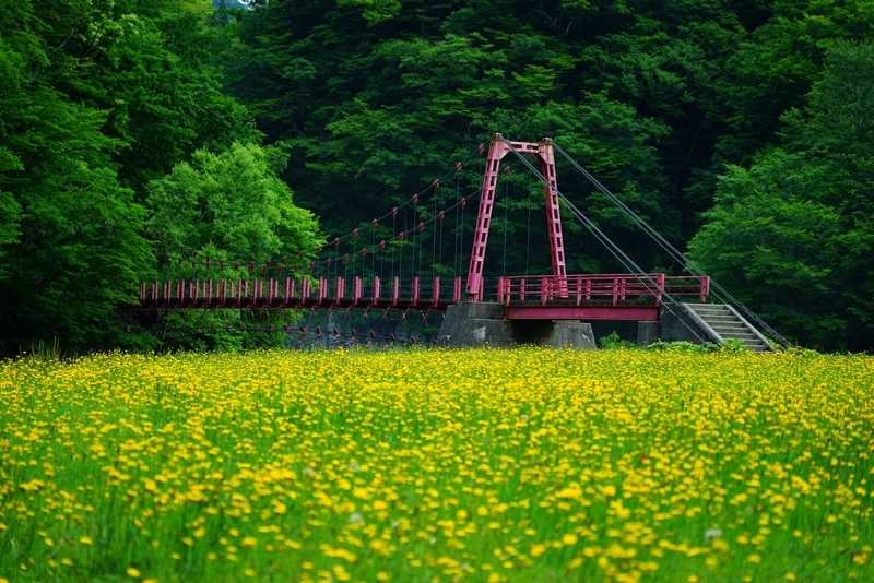 f:id:GSX-R1000:20200714221607j:plain