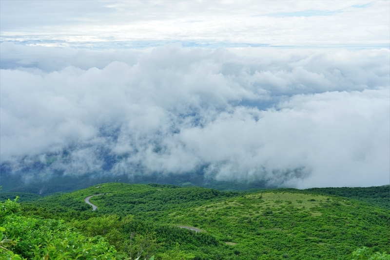 f:id:GSX-R1000:20200714221805j:plain