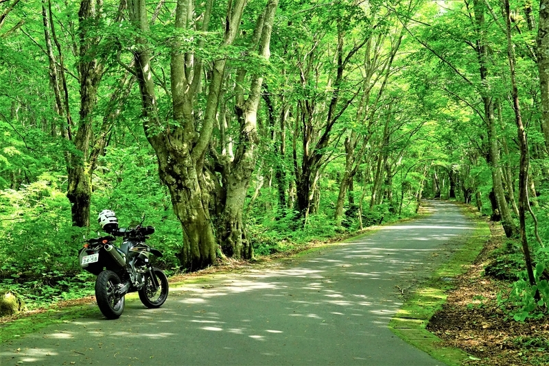 f:id:GSX-R1000:20200830163720j:plain