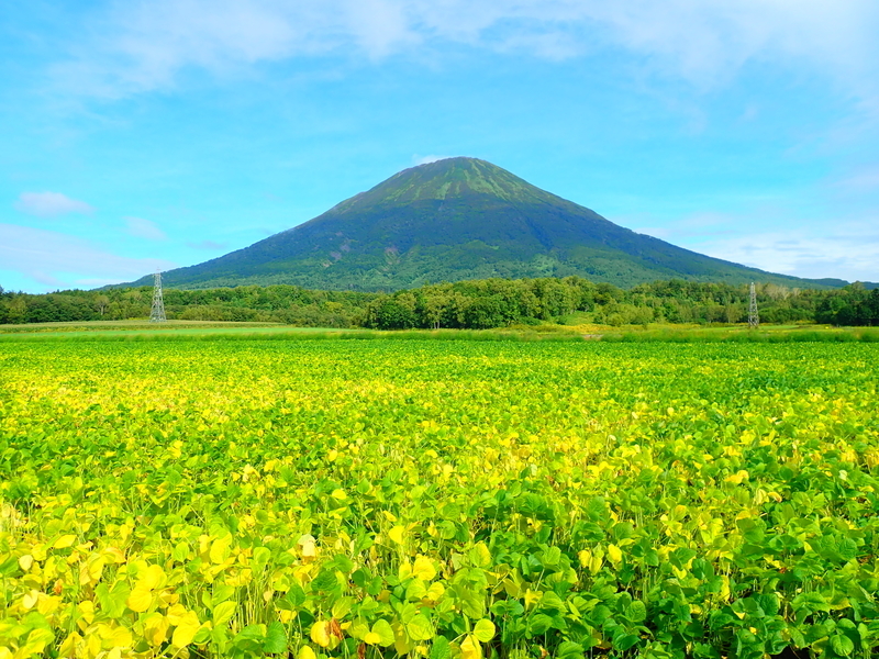 f:id:GSX-R1000:20200909214818j:plain