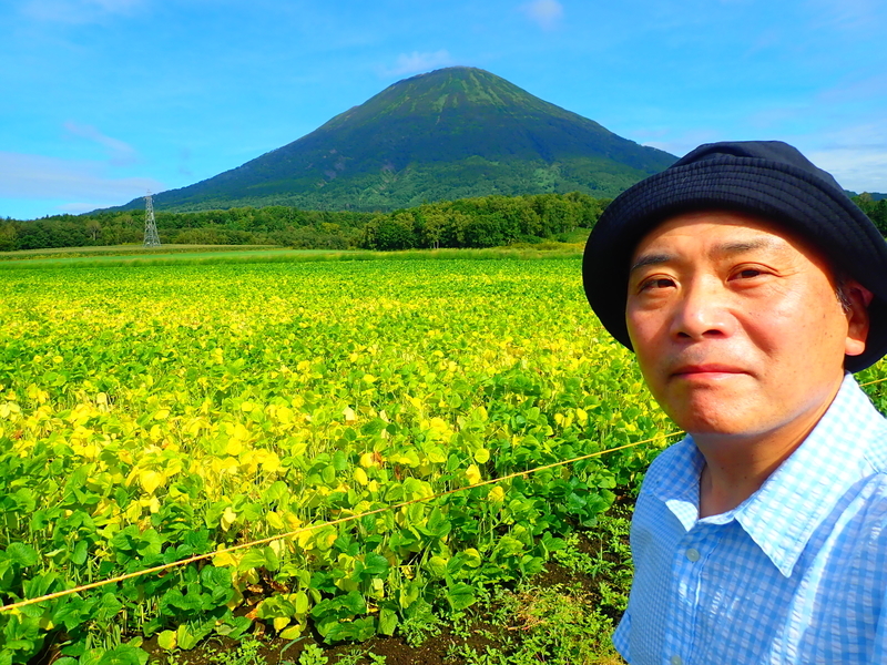 f:id:GSX-R1000:20200909215000j:plain