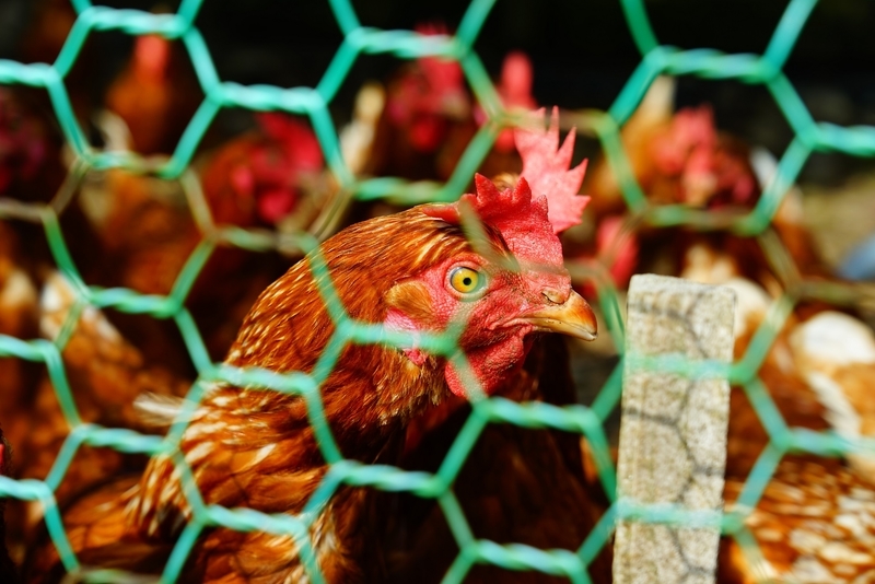 f:id:GSX-R1000:20201005191253j:plain