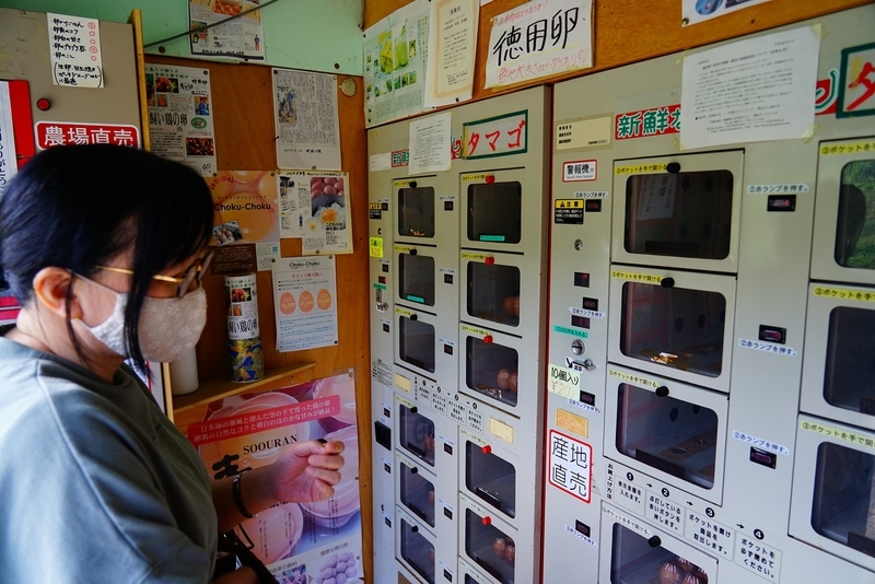 f:id:GSX-R1000:20201005191314j:plain