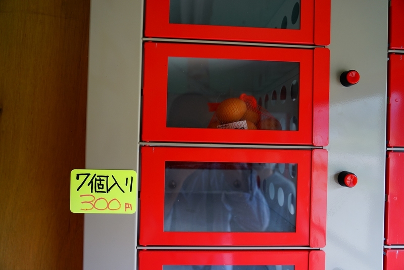 f:id:GSX-R1000:20201005191321j:plain