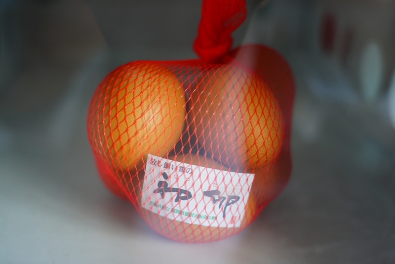 f:id:GSX-R1000:20201005191329j:plain