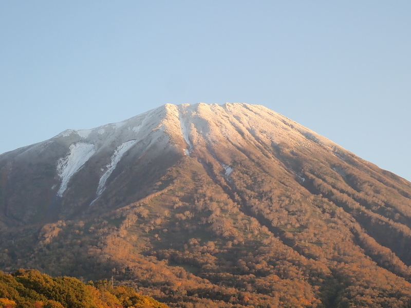 f:id:GSX-R1000:20201020205305j:plain