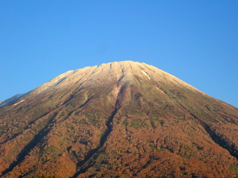 f:id:GSX-R1000:20201020205717j:plain