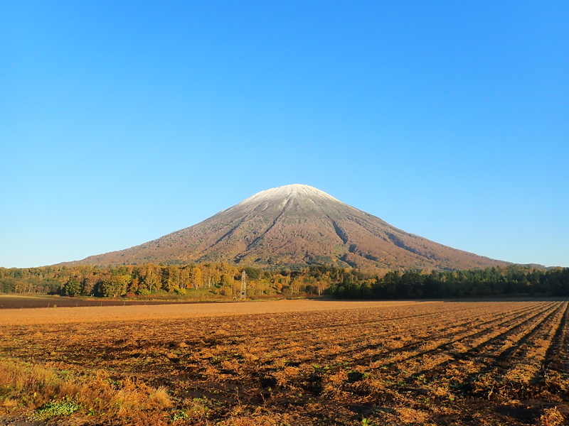 f:id:GSX-R1000:20201020205905j:plain