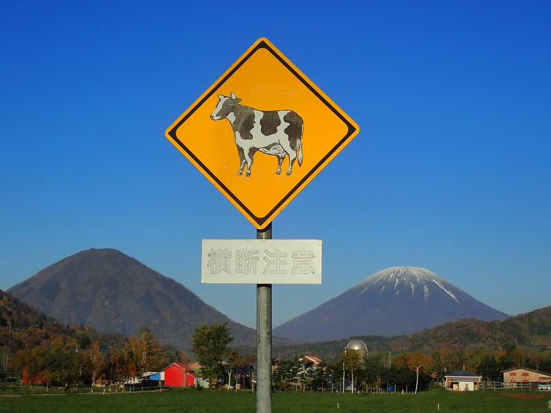 f:id:GSX-R1000:20201020210336j:plain