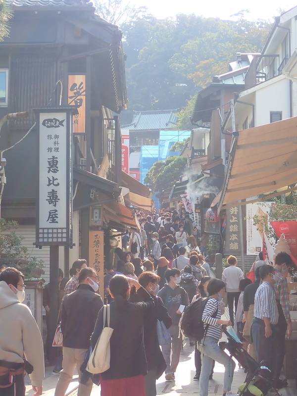 f:id:GSX-R1000:20201103192742j:plain