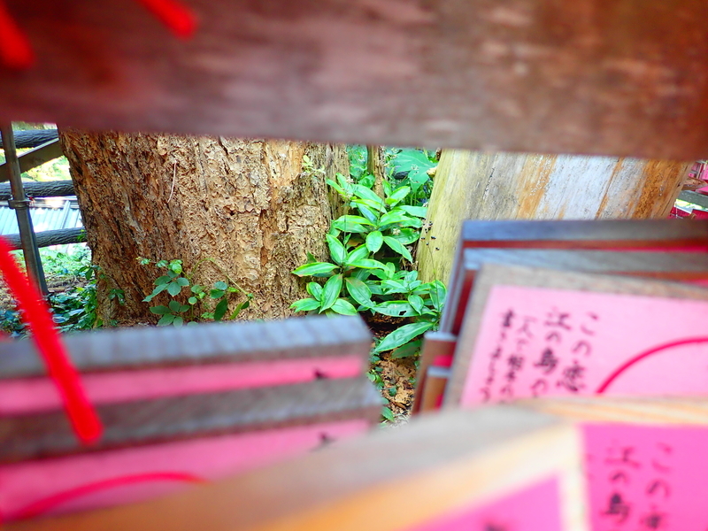 f:id:GSX-R1000:20201103193422j:plain