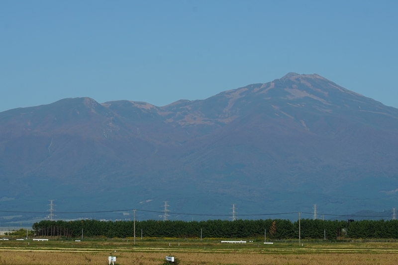 f:id:GSX-R1000:20201105193403j:plain