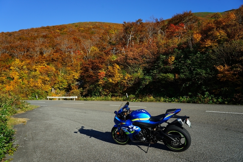 f:id:GSX-R1000:20201105193437j:plain