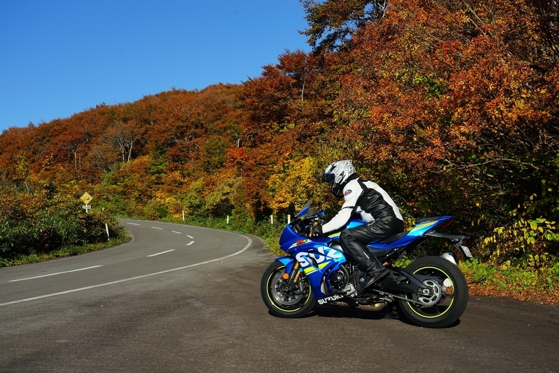 f:id:GSX-R1000:20201105193452j:plain