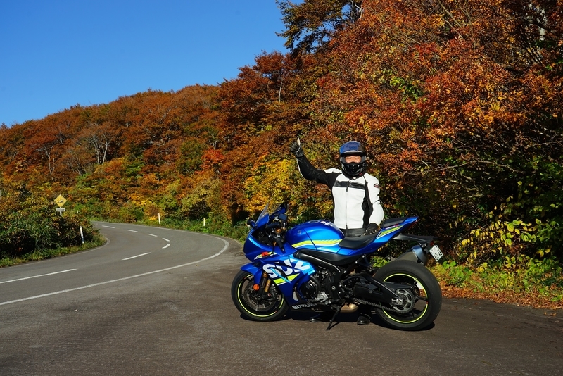 f:id:GSX-R1000:20201105193500j:plain