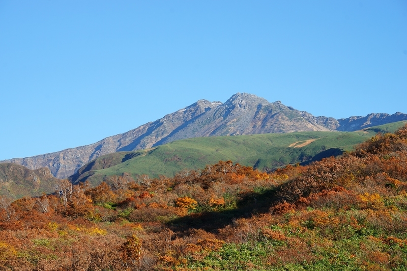 f:id:GSX-R1000:20201105193542j:plain