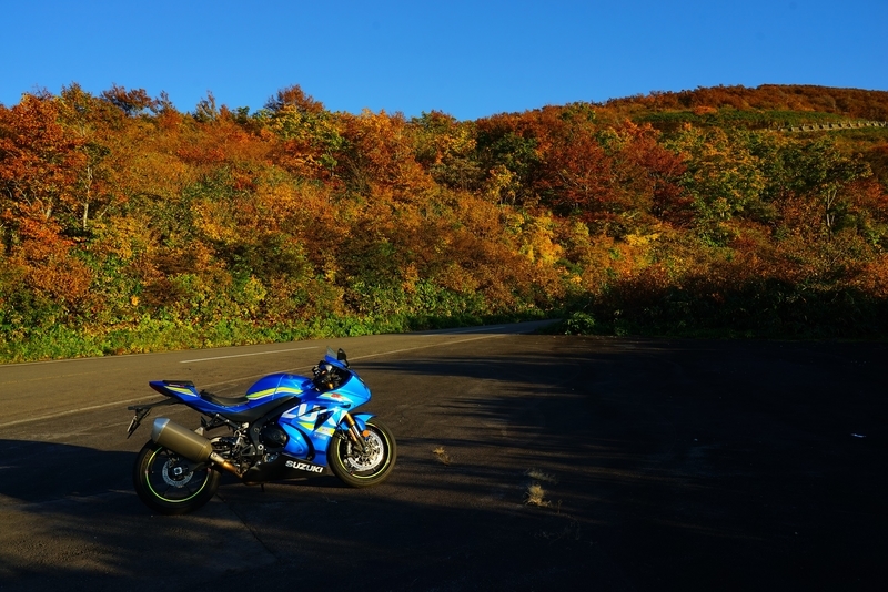 f:id:GSX-R1000:20201105193625j:plain