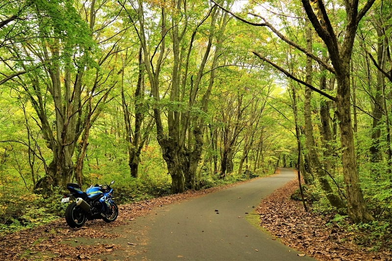 f:id:GSX-R1000:20201106151745j:plain