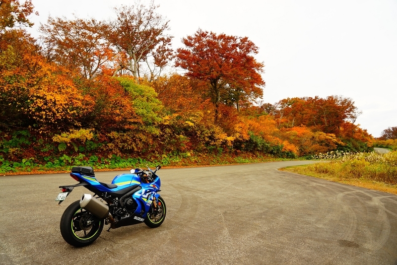 f:id:GSX-R1000:20201106151806j:plain