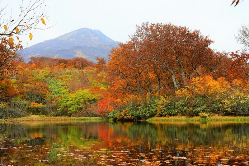 f:id:GSX-R1000:20201106151853j:plain