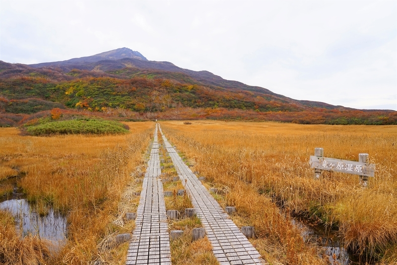 f:id:GSX-R1000:20201106152105j:plain