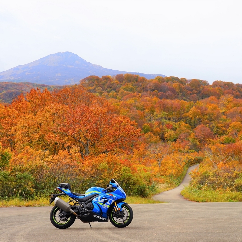 f:id:GSX-R1000:20201106152116j:plain